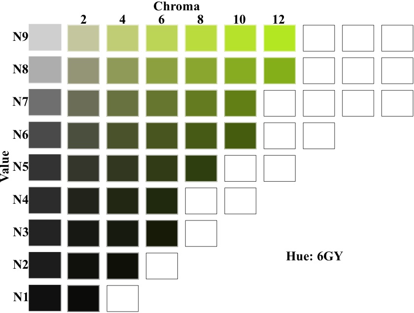 Munsell Hue Leaf for 
6GY